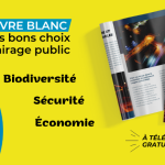 Couverture du livre blanc offert par Kawantech pour optimiser son éclairage public