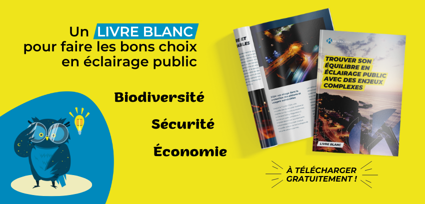 Couverture du livre blanc offert par Kawantech pour optimiser son éclairage public